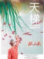 天梯:蔡國強的藝術