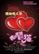我的老婆是只貓