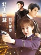 特工總裁?；▽櫰? height=