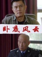 臥底風云