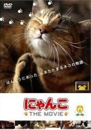 貓咪物語