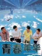 電影青春年華海報