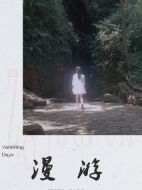 電影漫游海報