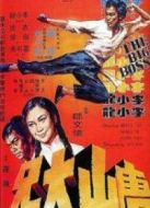 唐山大兄 粵語