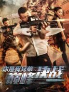 你是我兄弟巔峰決戰