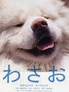 秋田犬蓬夫