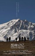 巔峰記憶