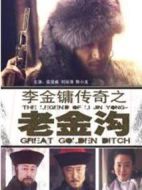 李金鏞傳奇之老金溝