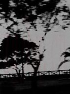 Foreground