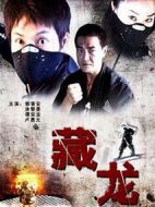 藏龍