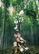 電影飛俠小白龍海報