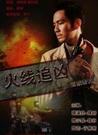 電影火線追兇之黑槍疑云海報