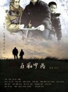 在風中飛