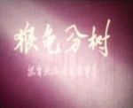 龜猴分樹
