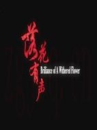 落花有聲