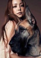 安室奈美惠 2005巡回演唱會 完整版