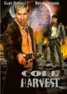 復仇戰士（2008）