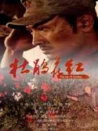 杜鵑花紅