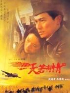 天若有情3:烽火佳人