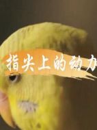 指尖上的動(dòng)力