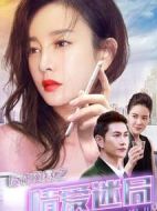 反詐風暴之情愛迷局