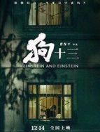 狗十三