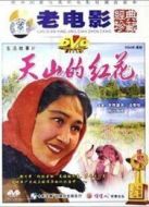 天山的紅花