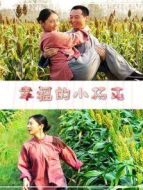 幸福的小楊屯
