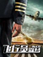 飛行員槑舄
