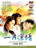 真情 林青霞版