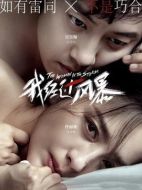 我經(jīng)過風暴
