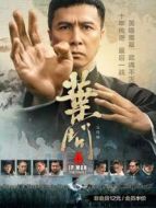 葉問(wèn)4·金像獎(jiǎng)