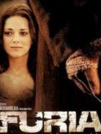 憤怒（1999）