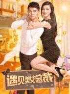 遇見美女總裁