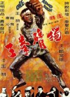 獨臂拳王（1972）