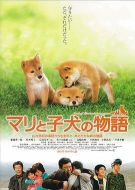 愛(ài)犬的奇跡