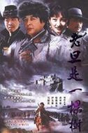 麻九爺