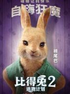 棉尾巴