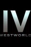坦迪·牛頓