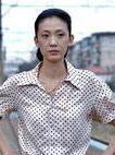 張自力妻