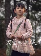 張望