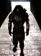 Scar Predator