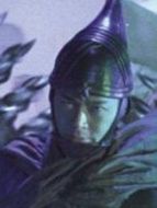 丹辰子