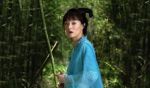 玫瑰仙子
