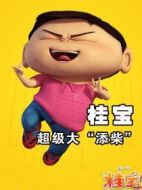 桂寶