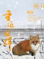 赤狐