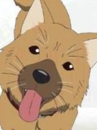 阿伯