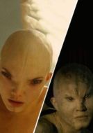 Dren（雌雄同體）
