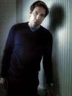 Fox William Mulder（大衛&middot;杜楚尼飾演）