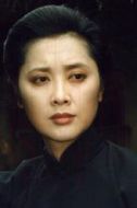 辛夫人